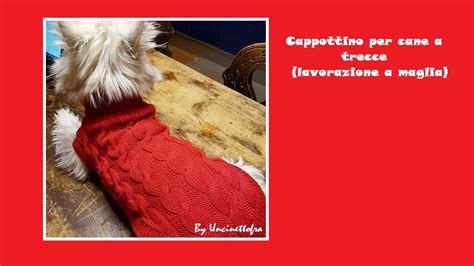 cappottino cane burberry rosso|Cappottino a trecce per cane (parte 1) ferri 1.